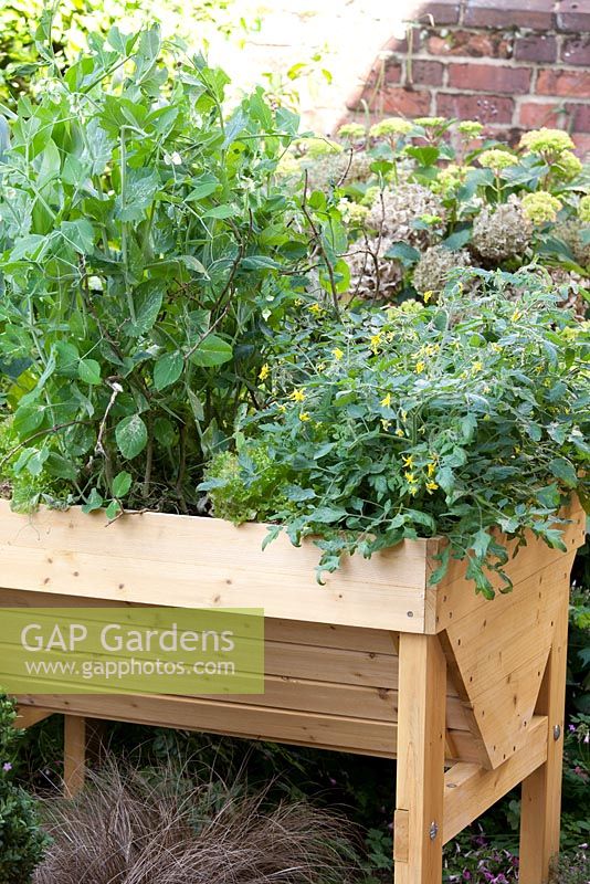 Step by step - Planting salad vegetables in a raised wooden trug