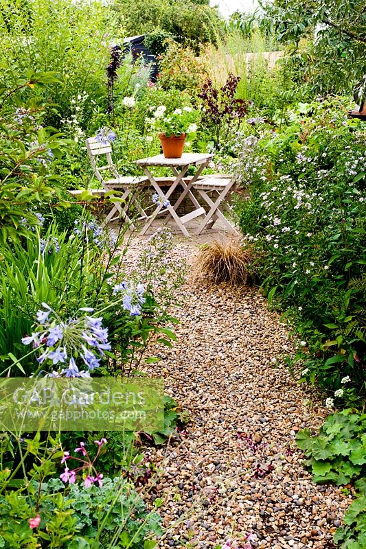 Gravel path with Agapanthus and Aster leading to table and chairs - Brook Hall Cottages, Essex NGS
