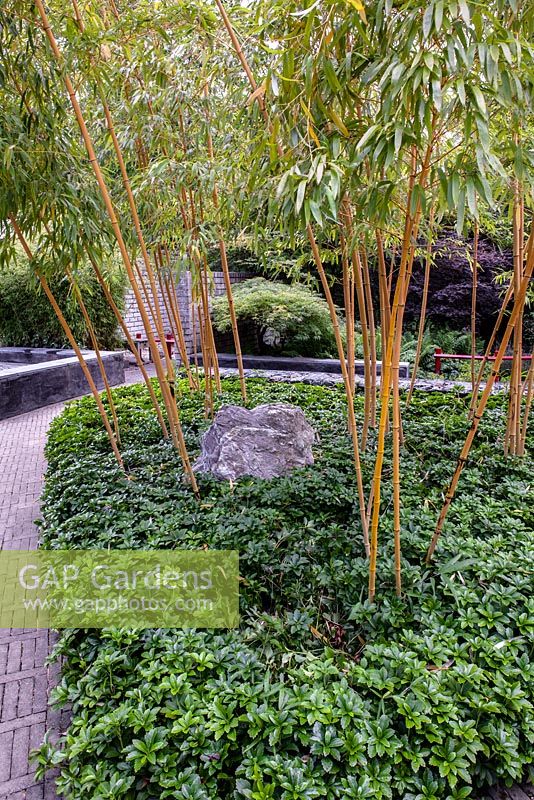 Bamboo border in Japanese style garden
