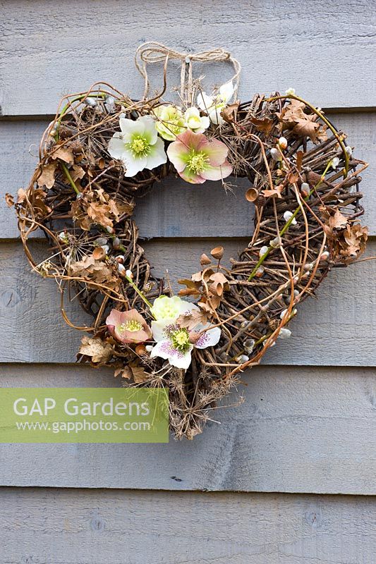 Rustic winter wreath with helleborus orientalis flowers, salix and quercus foliage 