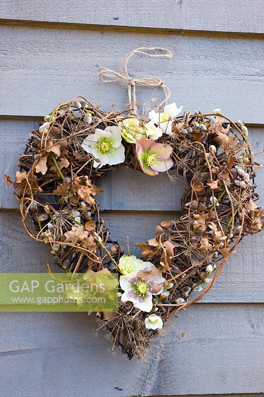 Rustic winter wreath with helleborus orientalis flowers, salix and quercus foliage 
