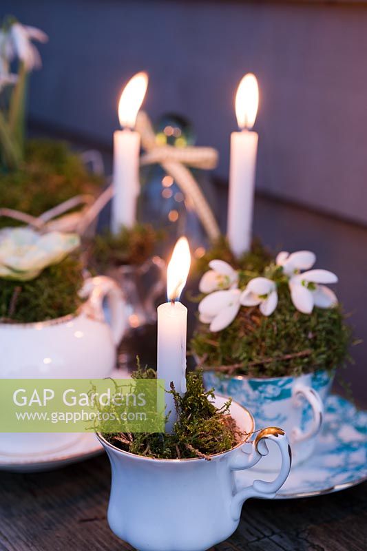 Candles in vintage teacups with galanthus nivalis -snowdrops and hellebores 