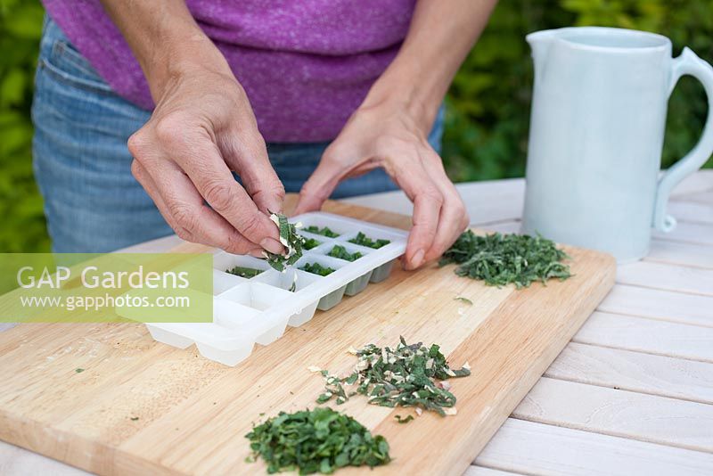 Step by step - making herb ice cubes