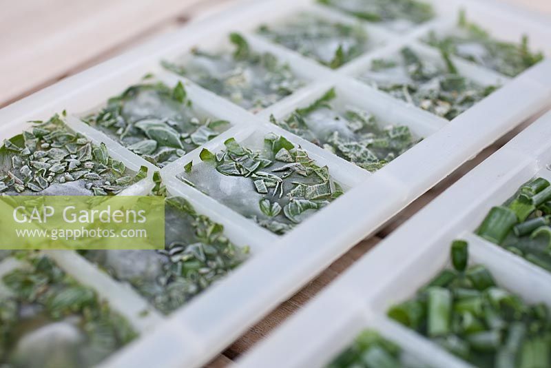 Step by step - Making herb filled ice cubes