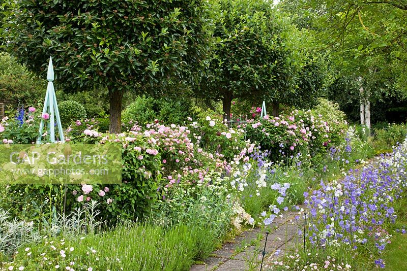 A paved path lined with wildflowers, roses, standards and plant supports - Rosa 'Duchesse de Montebello', Artemisia, Betula, Campanula persicifolia, Centranthus ruber 'Albus', Crataegus, Geranium sanguineum and Lavandula - Germany 