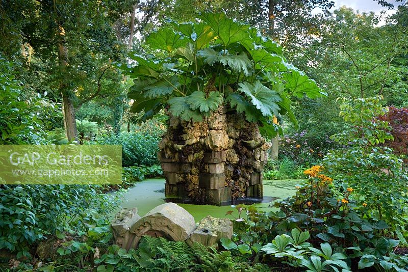 Gunnera - South American Giant Rhubarb and The Water Feature in the Stumpery, Highgrove Garden, August 2007.  The water feature is made of Hereford sanstone and Spanish limestone.  