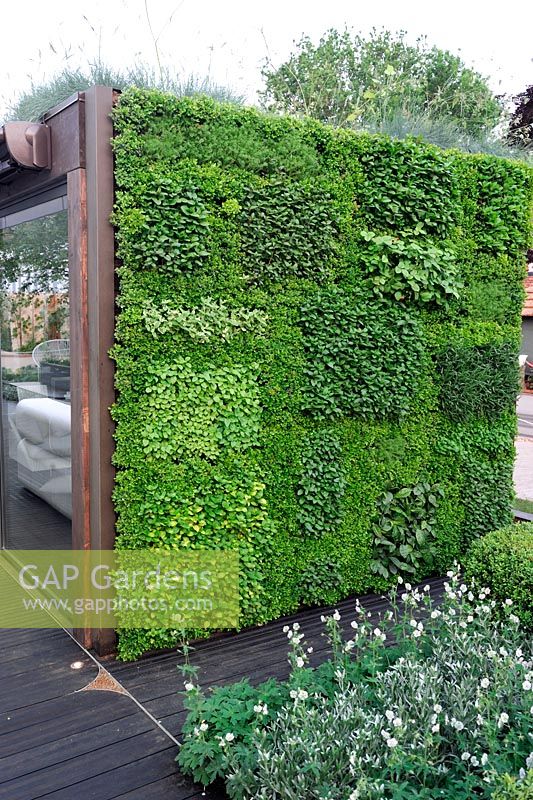 Green herb wall - Rooftop Workspace of Tomorrow, depicting vacant urban rooftop space extending the office outdoors - RHS Chelsea Flower Show 2012 