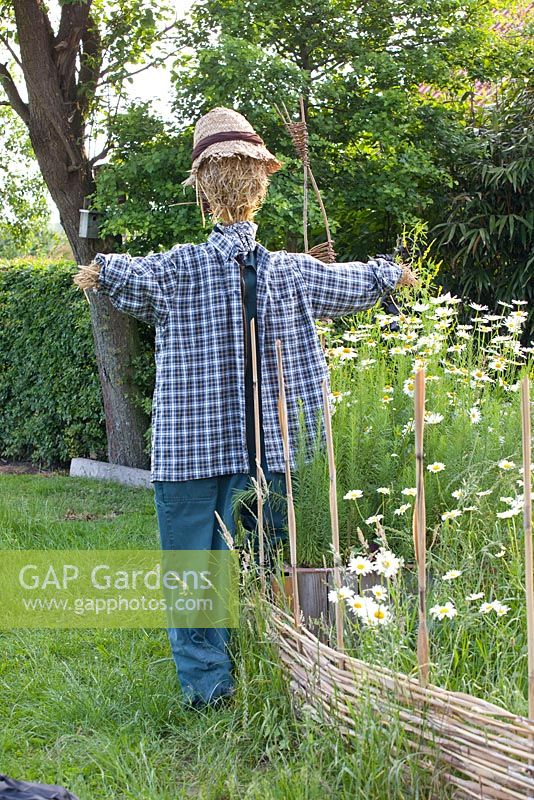 Scarecrow and wildflower meadow 
