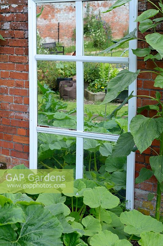 Window mirror - feature in old walled garden