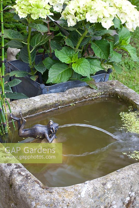 Frog water feature in small pond