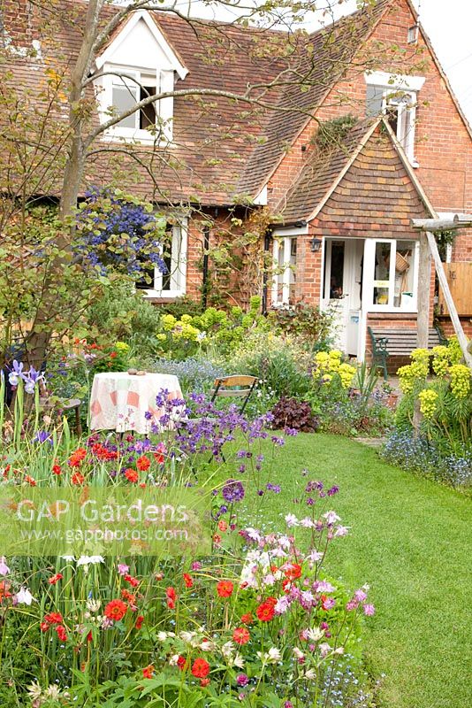 Cottage with borders containing Aquilegia, Euphorbia and Geum 'Red Wings'