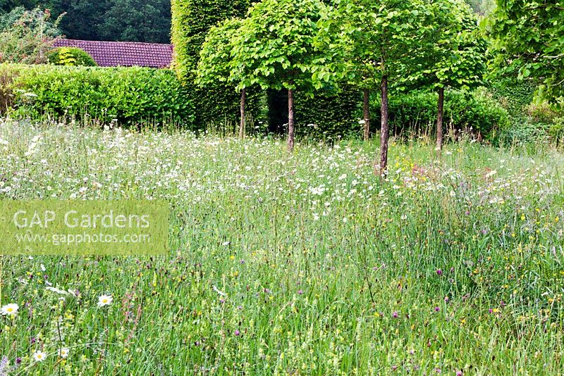 The Meadow at Veddw House Garden, Monmouthshire, Wales, UK.
