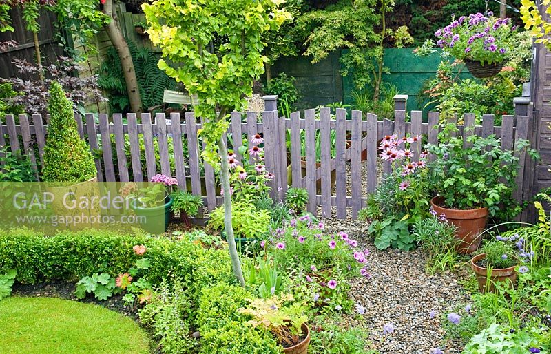 Picket fence and gate treated with lavender coloured wood preservative, High Meadow Garden in summer