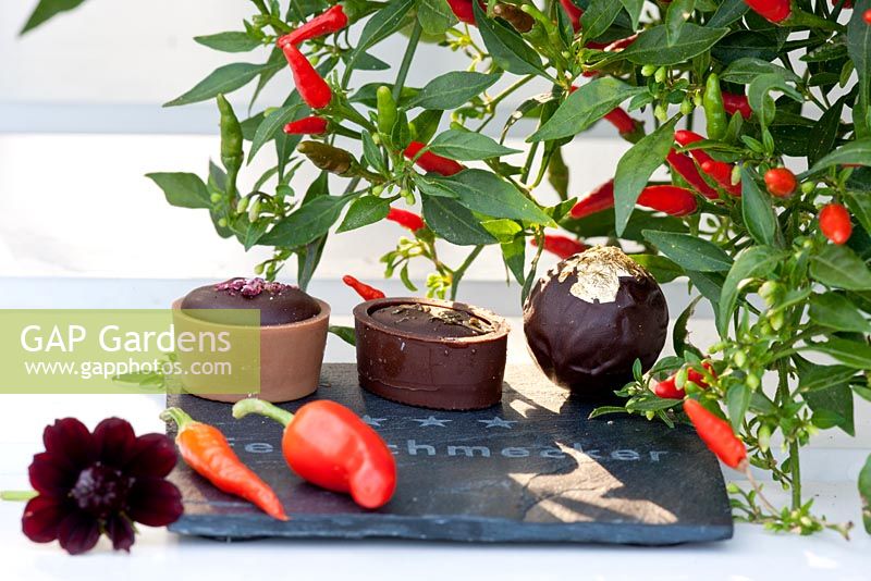 Chilli peppers with a selection of chocolate