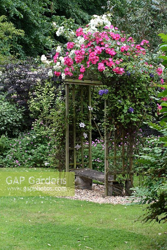 Gravel seating area with stone bench, wooden arbour, climbing roses and Clematis 