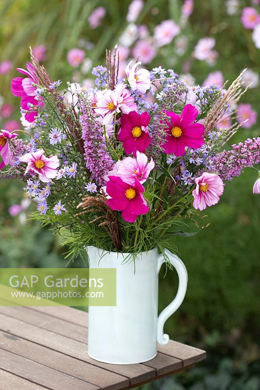 Step by step - Making arrangement from freshly cut flowers including Cosmos 'Gazebo White' and 'Sweet Sixteen' 
