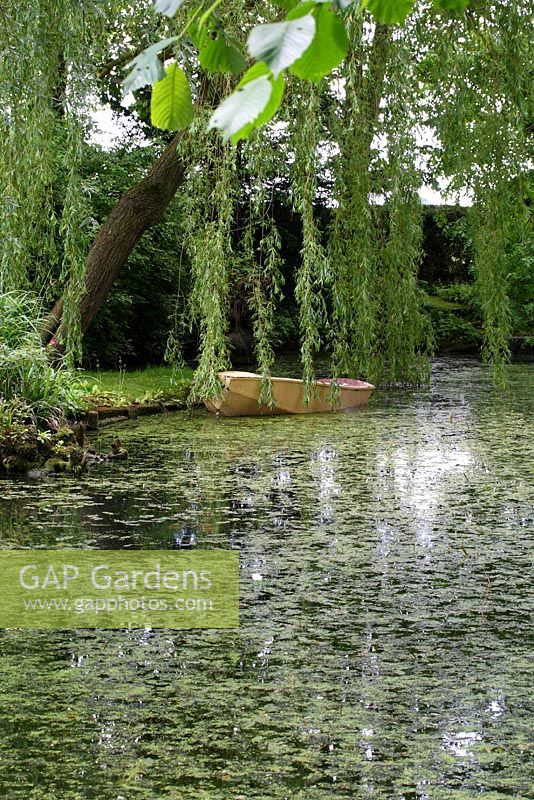 View from the verandah of an old wooden rowing boat in the pond, shaded by a weeping willow tree - Sallowfield Cottage B&B, Norfolk