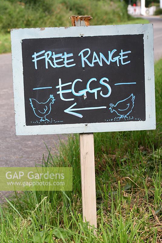 Road sign on the verge for free range eggs, Wymondham Abbey station crossing in background - Cavick House Farm, Norfolk