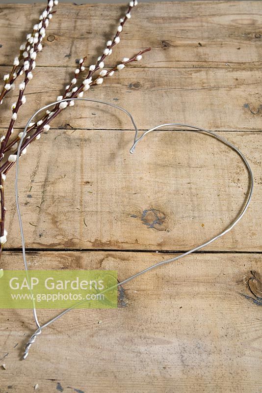 Step-by-step - bending and shaping metal wire frame into heart shape and clipping excess - decoration with Salix caprea, pussy willow