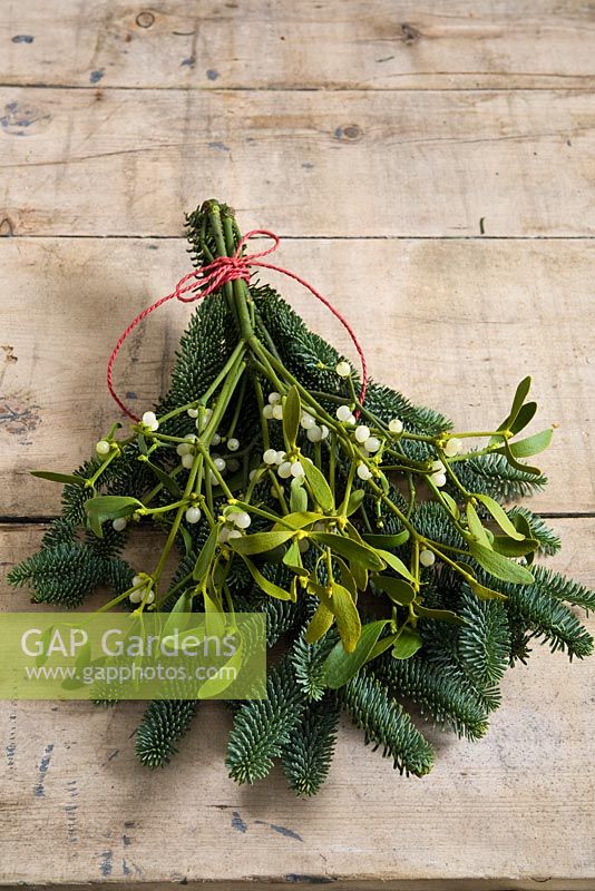 Step-by-step - Making natural Christmas decorations using branches from pine tree and mistletoe - trimming and tying together