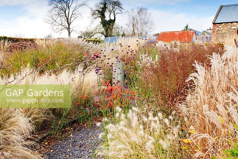 The Barn Garden with mixed perennials and grasses in naturalistic beds - The Bay Garden, Camolin, County Wexford, Ireland