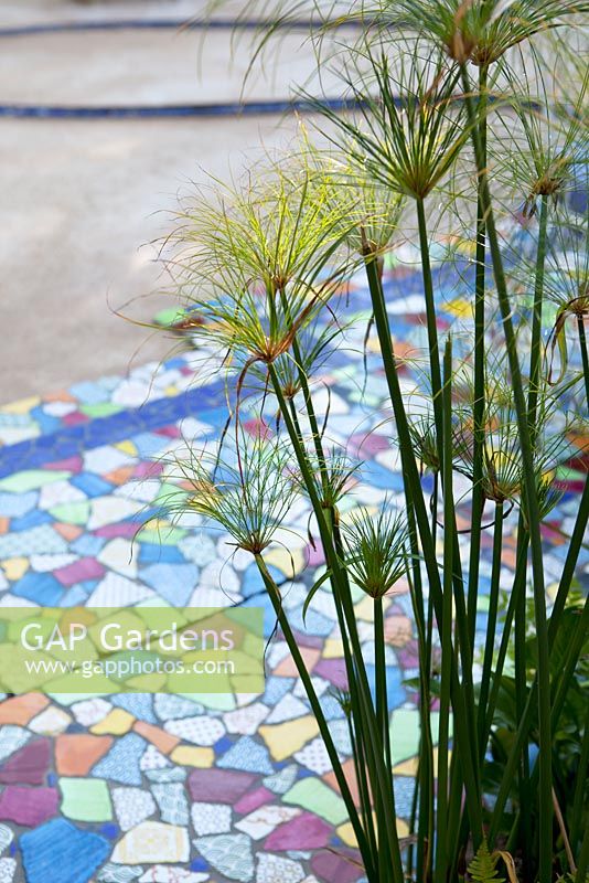 International Garden Festival 2012 Domaine de Chaumont-sur-Loire. Theme - GARDENS OF DELIGHT, GARDENS OF DELIRIUM. Title - Locus Genii. Floor of broken colourful tiles.