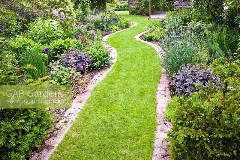 Curved grass path between borders with planting of Sedum 'Xenox', Taxus baccata, Iris and Geranium