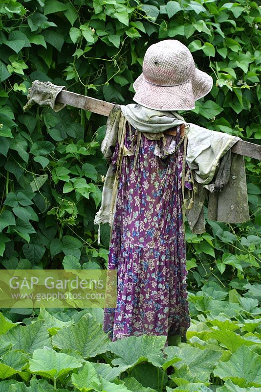 Rustic scarecrow in vegetable garden