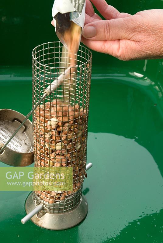 Filling up bird feeder after cleaning