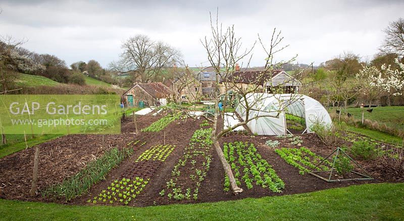 Charles Dowding's organic vegetable garden