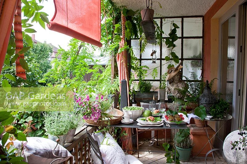 Metal garden table laid for dinner, plants in containers - Lathyrus latifolius, Lavandula, Salvia officinalis, Thymus