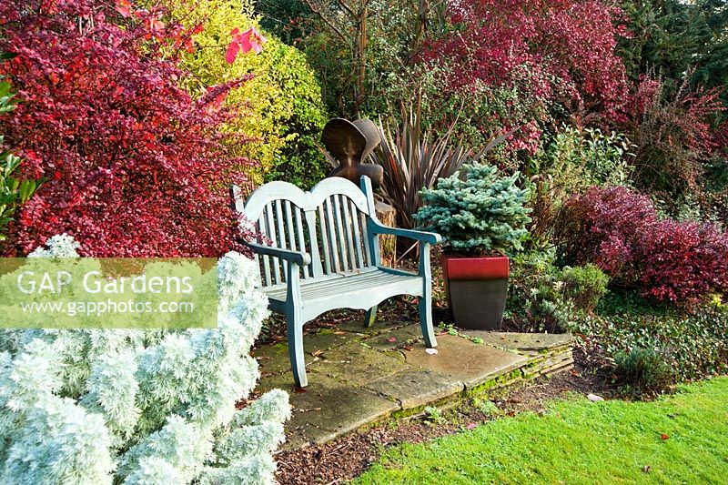 Bench in the silver and red border near the house with berberis and artemisia nearby. The Dingle Garden, Welshpool, Powys, Wales