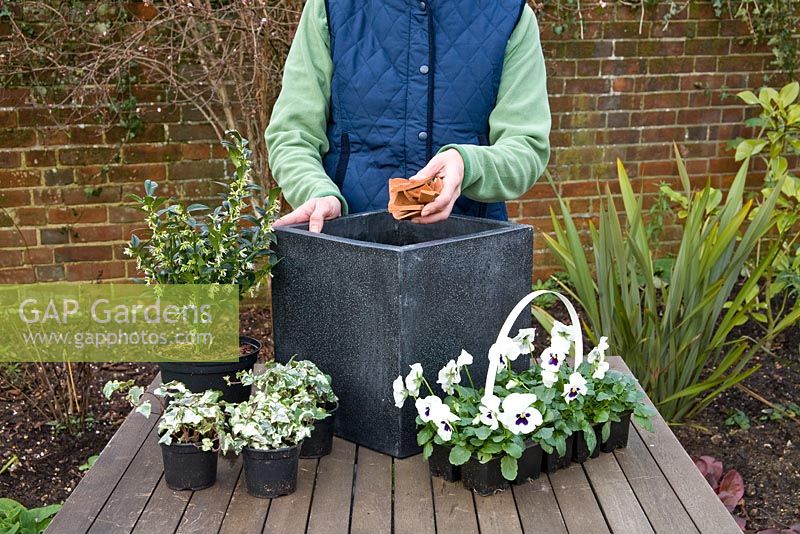 Woman adding broken pot pieces to container - Step by step winter container with Viola panola 'White' Sarcococca - Christmas Box and Hedera - Ivy 