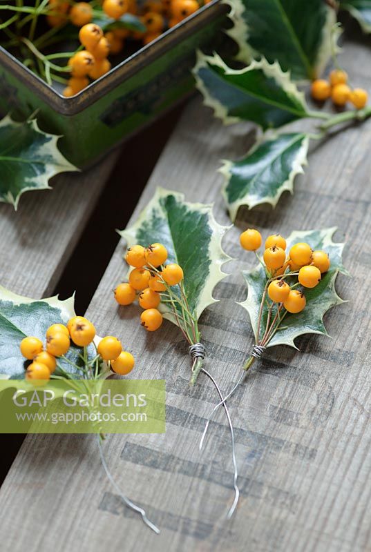 Fasten small bunches of berries on to the holly leaves by wrapping wire round the stems 