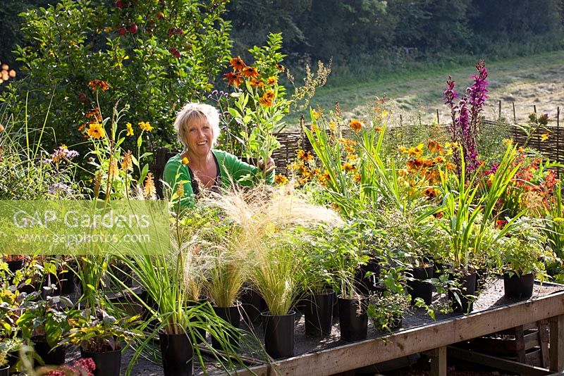 Carol Klein arranging plants in the nursery at Glebe Cottage