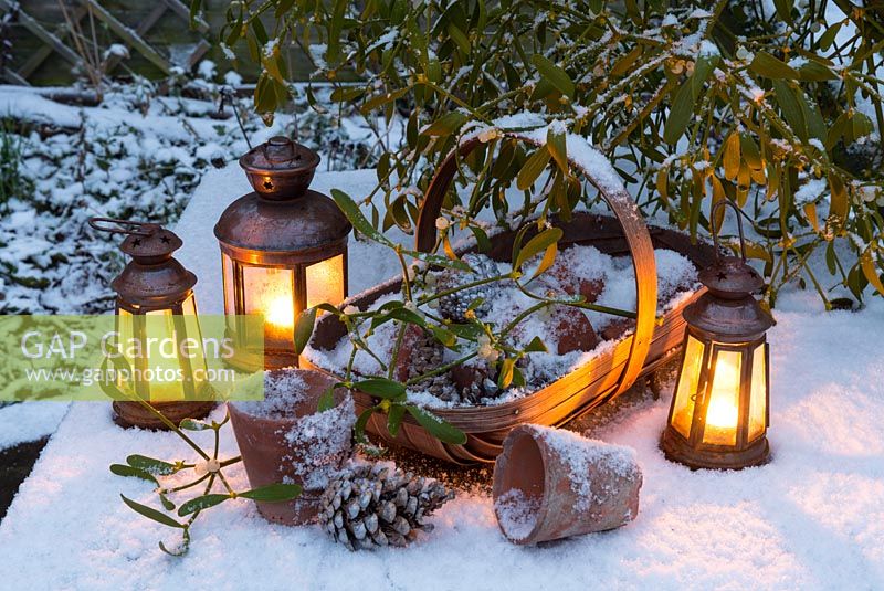 Christmas themed still life in snow with wooden trug containing flowerpots and fir cones, lanterns and Mistletoe