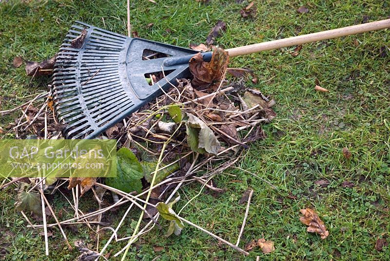 Autumn winter job - Rake up debris from flower border