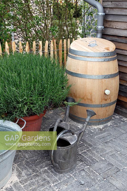 Wooden rain barrel with Schneider watering cans and Lavandula in pot