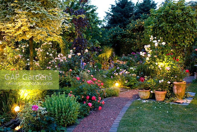 Mixed summer borders with spot lights at dusk  