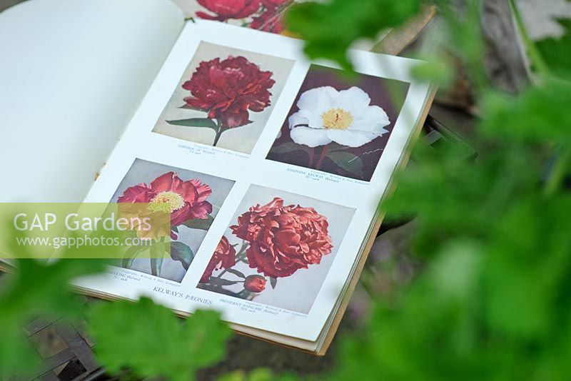 Old Peony catalogues