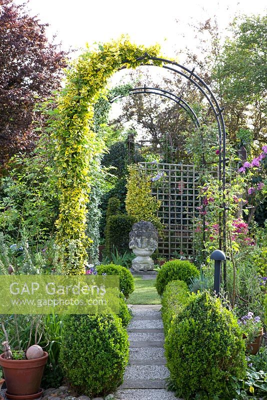 Clipped Buxus and Euonymus fortunei with decorative archways