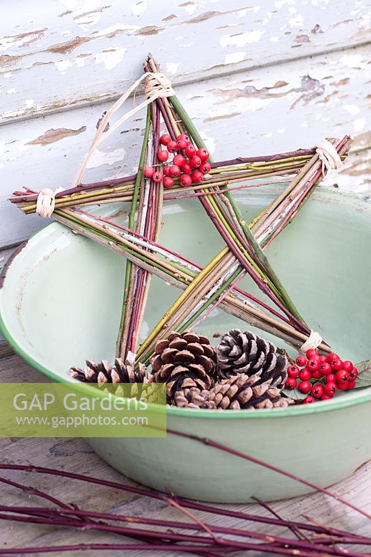 Homemade Christmas star made from colourful winter stems and Cotoneaster berries