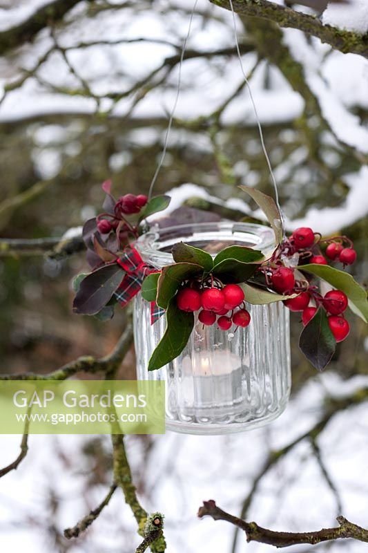 Hanging tealight made from jar decorated with Gaulteria berries and ribbon