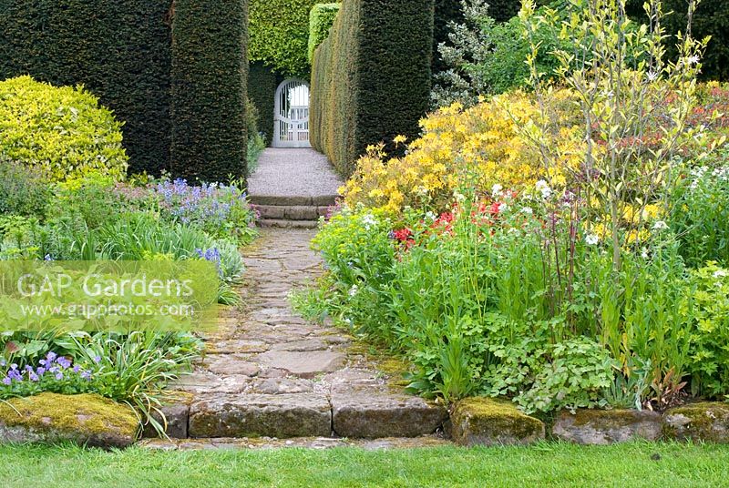 Spring beds with Rhododendron, Magnolia, Geranium, Viola and Aquilegia and stone path leading past established Taxus - Yew hedge to gate at Abbeywood Gardens, Cheshire