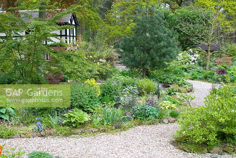 Colourful woodland spring garden with gravel paths and stone edged mixed beds - Abbeywood house and gardens, Cheshire