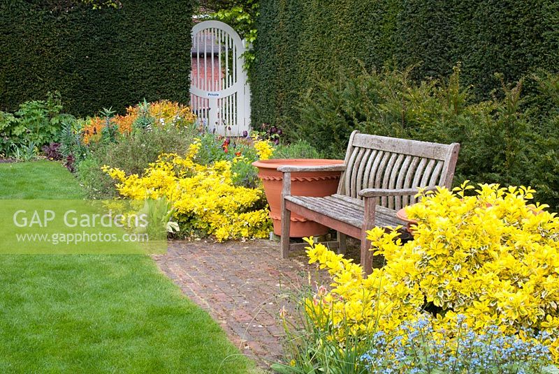 Bench on brick patio and colourful border with Euonymus and Brunnera and backed by establised Taxus hedge - Abbeywood Gardens, Cheshire