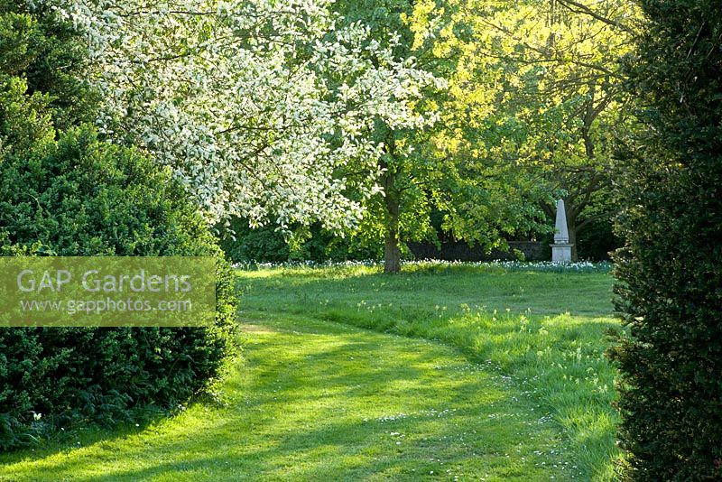 Grass pathway and blossoming trees - Wretham Lodge, Norfolk