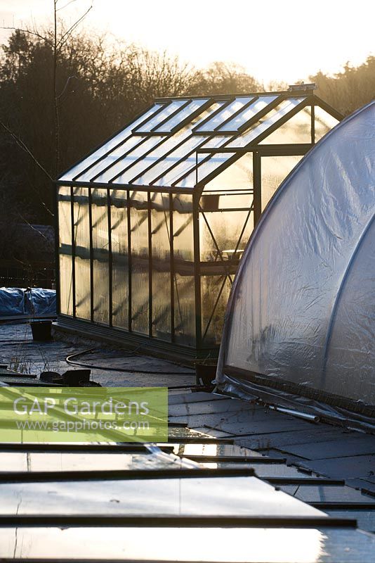 First light on the greenhouse and polytunnel at Glebe Cottage