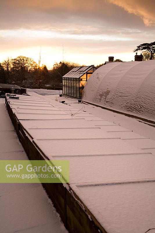 Coldframes, polytunnels and greenhouse covered in snow in the nursery at Glebe Cottage