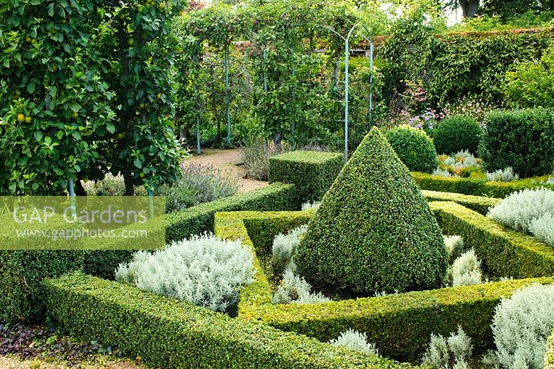 Knot garden with box and Santolina - Wyken Hall, Suffolk